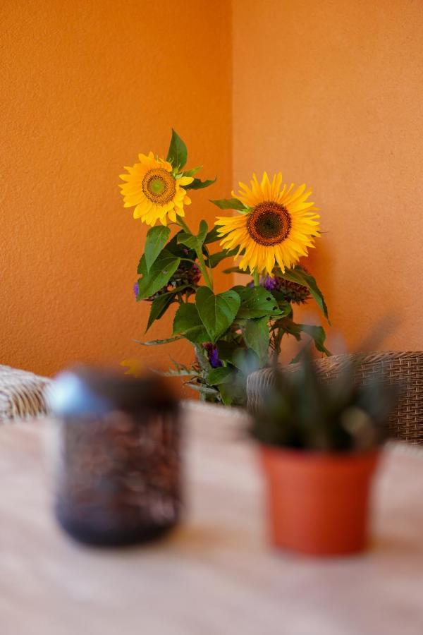 Maslina & Lavanda Apartment Podstrana Luaran gambar
