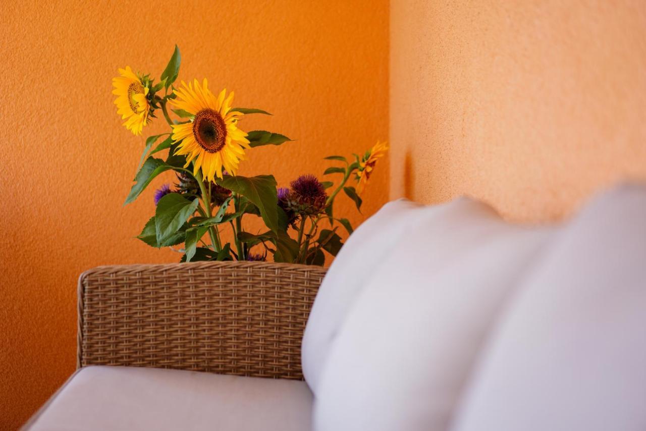 Maslina & Lavanda Apartment Podstrana Luaran gambar