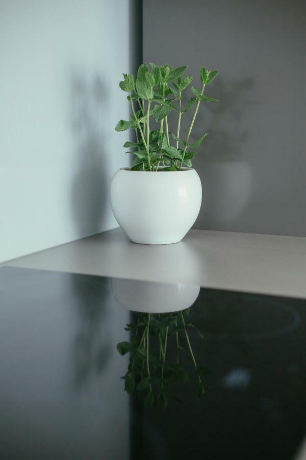 Maslina & Lavanda Apartment Podstrana Luaran gambar
